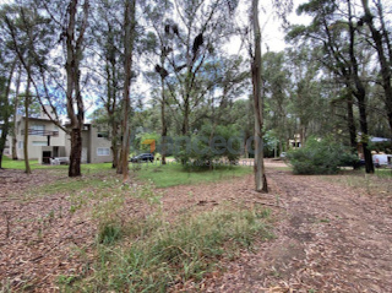 Lote Amplio Mar de las Pampas, Rodeado de Bosque y Cerca de la Playa