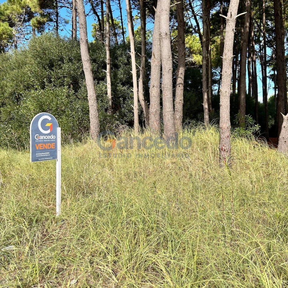 Lote en venta - Barrio Nayades Pinamar