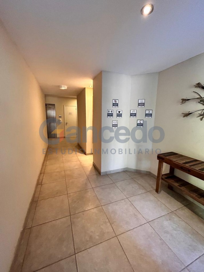 Alquiler Temporario: Departamento de 1 Dormitorio en Pinamar