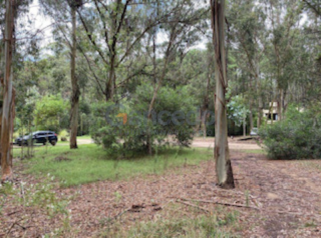 Lote Amplio Mar de las Pampas, Rodeado de Bosque y Cerca de la Playa