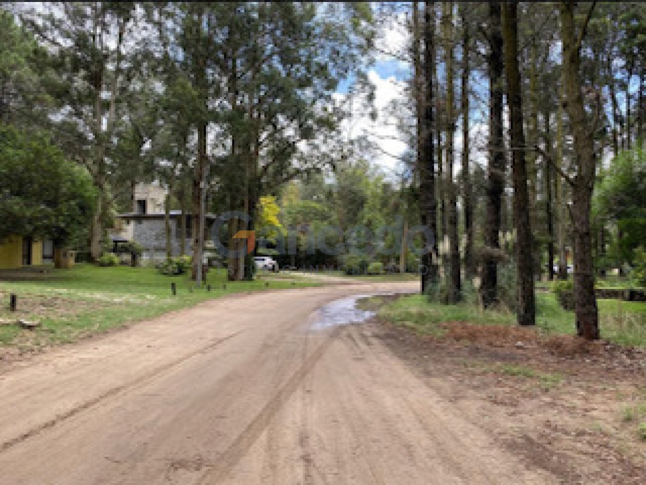 Lote Amplio Mar de las Pampas, Rodeado de Bosque y Cerca de la Playa
