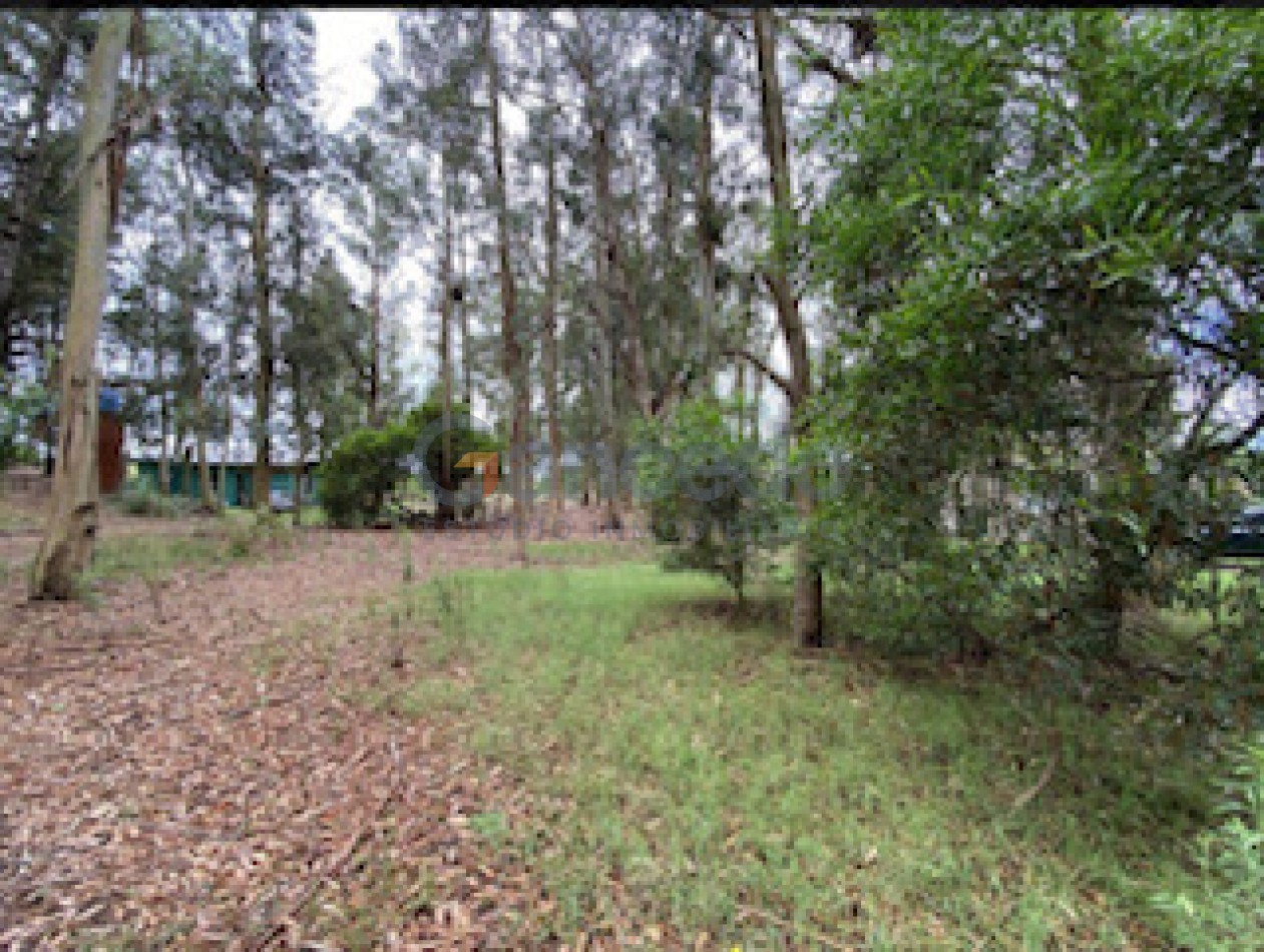 Lote Amplio Mar de las Pampas, Rodeado de Bosque y Cerca de la Playa