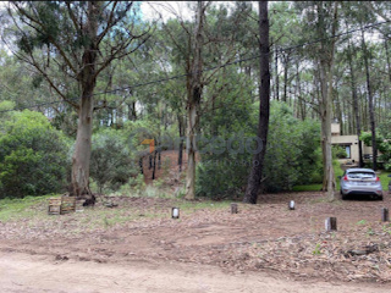 Lote Amplio Mar de las Pampas, Rodeado de Bosque y Cerca de la Playa