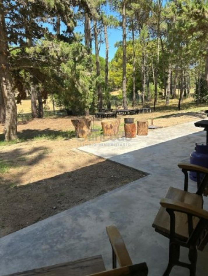 Alquiler Temporal: Casa de 3 Dormitorios en Isla del Golf, Pinamar: Rodeada de Bosque, Con Diseño Minimalista y Todas las Comodidades
